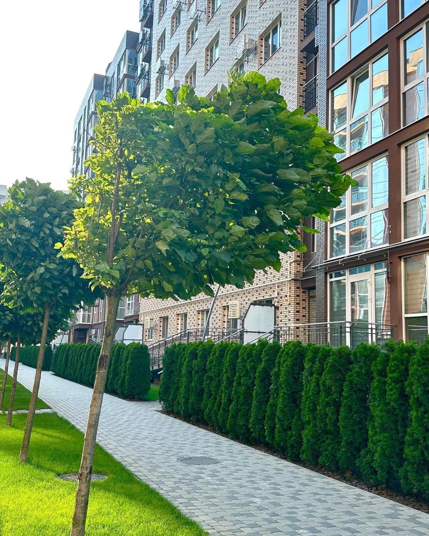 Vodogray Luxury Apartments With Underground Parking Елітний Житловий Комплекс Csernyivci Kültér fotó